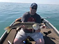 Lake St Clair Walleye