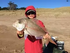 Got ya! Monster snapper off the beach