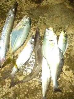 Caught on minor time this evening