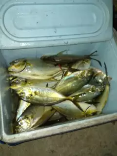 Off to a good start