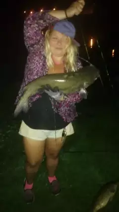 Awesome catfish