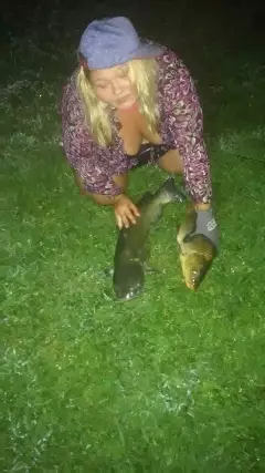 Catfish an carp