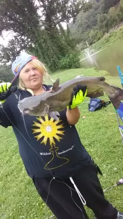 First big catfish I've ever caught