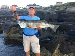 Striper