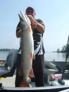 muskie