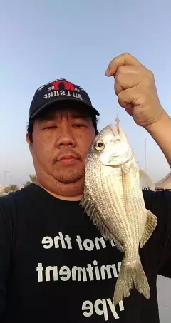 Bakoko in Saihat Cornich