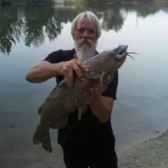 1st big cat in Idaho