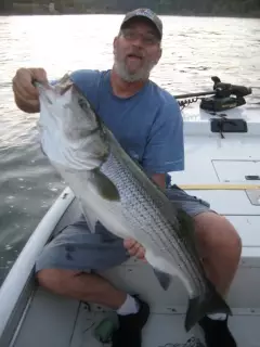 striper