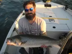 striper