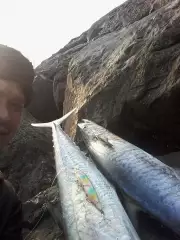 Abu Dhabi Fishing Escapade_21Sep2018