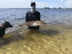 Slammed the reds