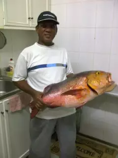 Fishing The Big Red Sea