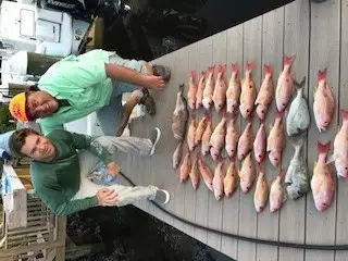 gulf coast