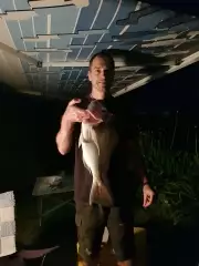 Surfcasting at night. Good snapper after sunset.
