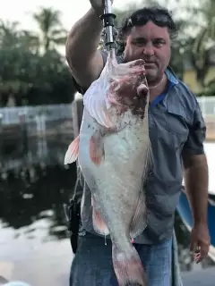 gulf coast