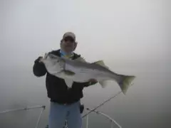 Watts Bar lake