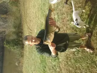 SC Winter Bass
