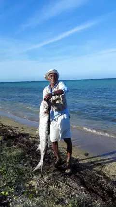 Sunday's catch