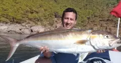 Amberjack is always a big challenge (15kg)