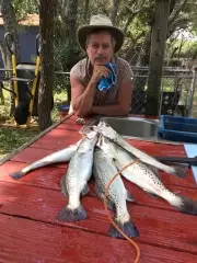 Limit