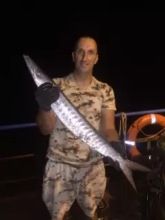 Barracuda