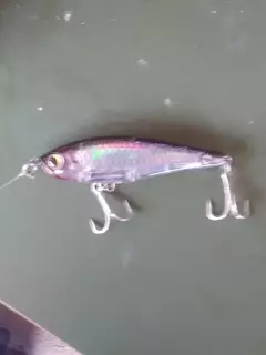 Biggest one today..