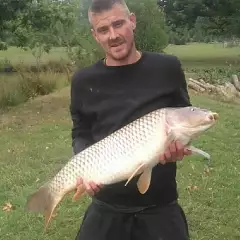 19lb mirror carp