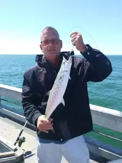 Mackerel on Skyway