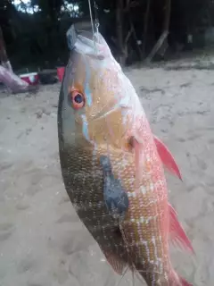 we love fishing