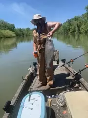 Cat daddy 17lbs
