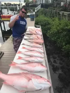 Red Snapper and Red Grouper