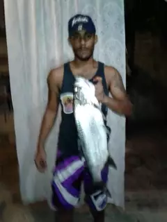 Tapon