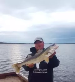 Walleye