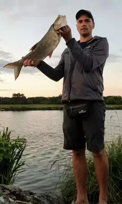 This my first German Rapfen - didn't even know this kind of fish exists