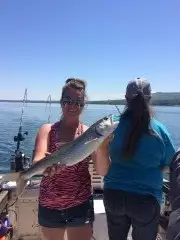 Superior lake trout