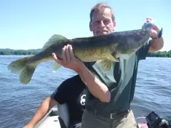 walleye