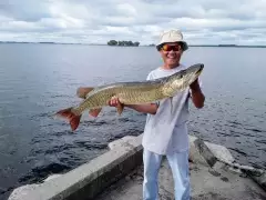 Did not expect that!!! Muskie off a wharf...