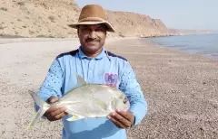 trevally
