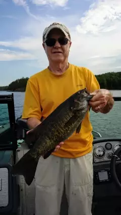Dogtooth smallmouth