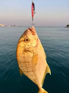 Abu dhabi fishing