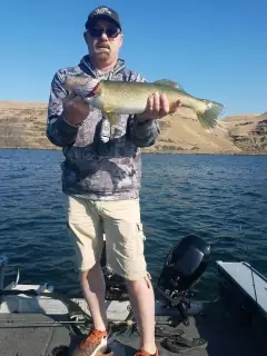6 lb walleye