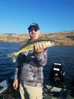 Walleye