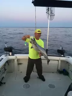 22lb Lake Michigan salmon