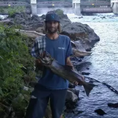 spring king salmon
