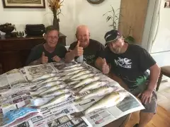 walleyes