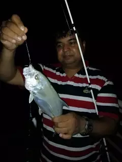 Thuwal Beach  Near   KAUST