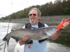 Catfishing