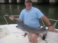 Paddlefish