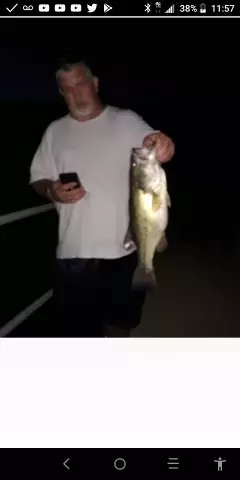 Largemouth Bass