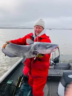 35 inch Channel Cat